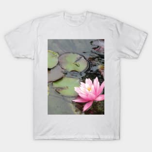 Pink Water Lily T-Shirt